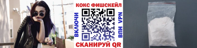 Купить закладки  Ивдель  Cocaine FishScale 