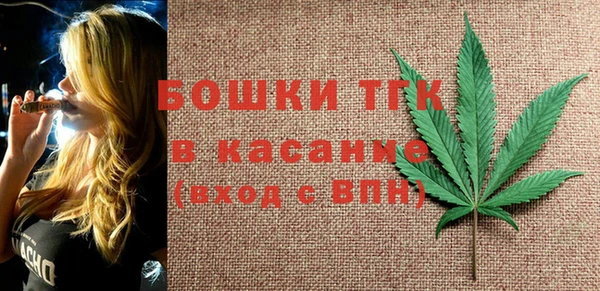 крисы Елабуга