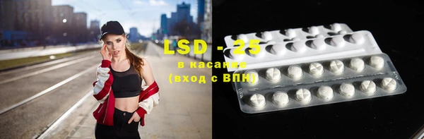 крисы Елабуга