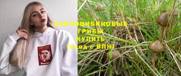крисы Елабуга