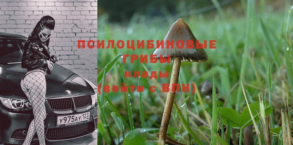 MDMA Ельня