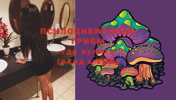 MDMA Ельня