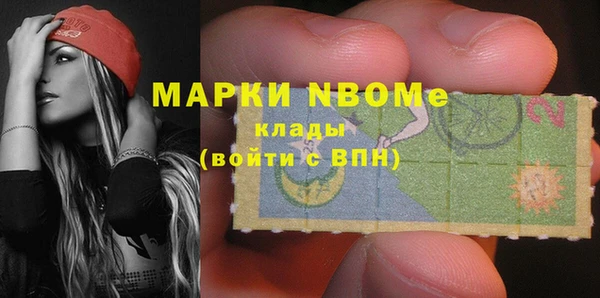 крисы Елабуга