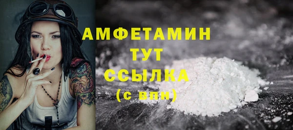 крисы Елабуга
