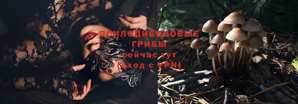 герыч Елизово